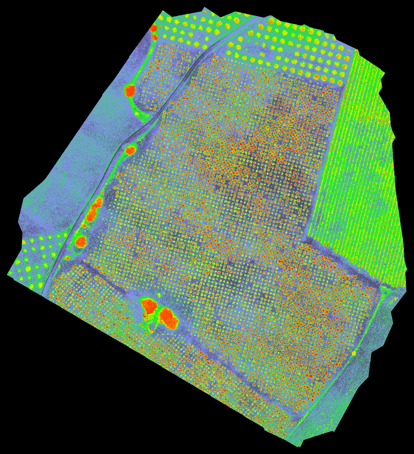 Mapa NDVI de la misma parcela, coloreado por valor relativo